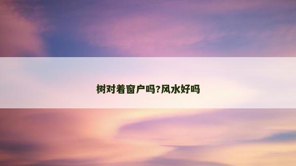 樹對著窗戶嗎?風水好嗎