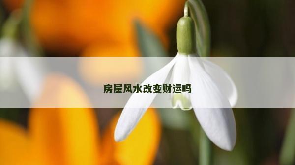 房屋風水改變財運嗎 房屋風水改變財運嗎