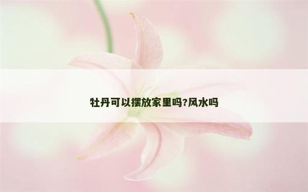 牡丹可以擺放家里嗎?風水嗎