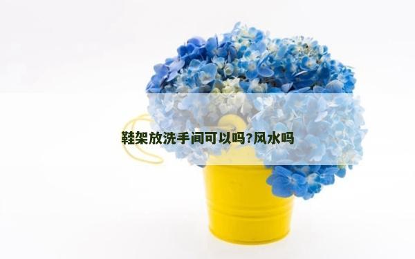 鞋架放洗手間可以嗎?風水嗎