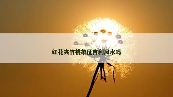 紅花夾竹桃象征吉利風水嗎