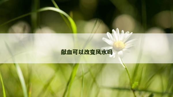 獻血可以改變風水嗎