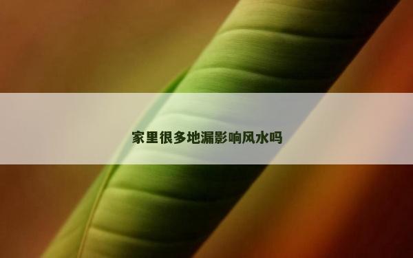家里很多地漏影響風水嗎