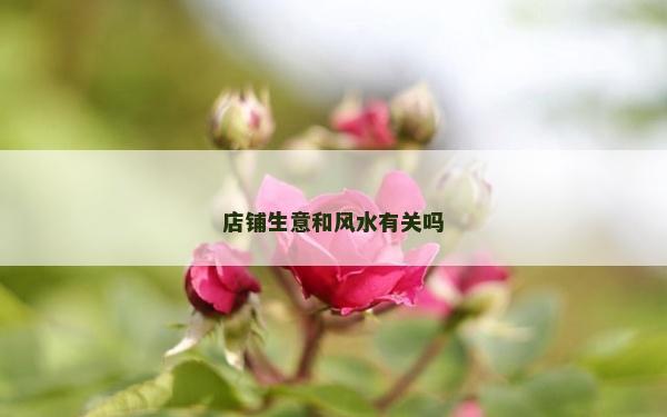 店鋪生意和風水有關嗎