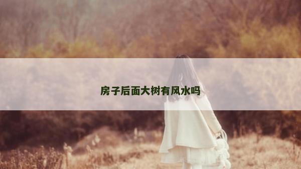 房子后面大樹有風水嗎