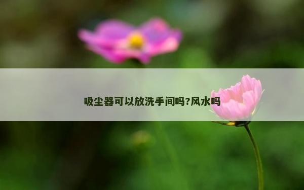 吸塵器可以放洗手間嗎?風水嗎