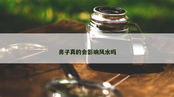 鼻子真的會影響風水嗎