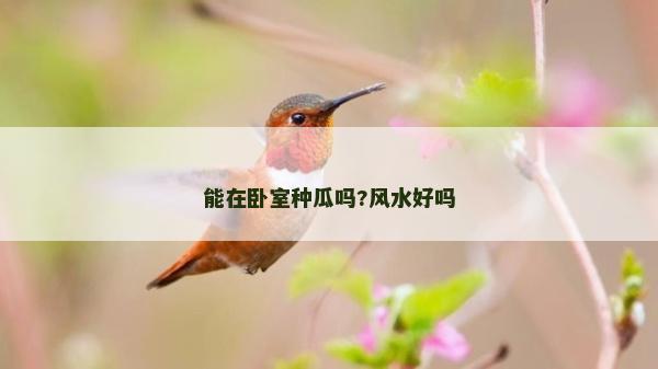 能在臥室種瓜嗎?風水好嗎