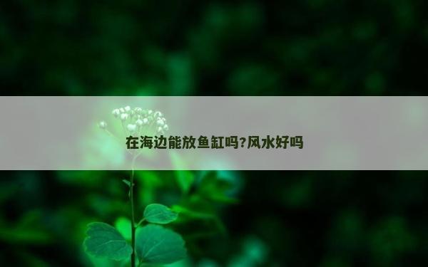 在海邊能放魚缸嗎?風水好嗎