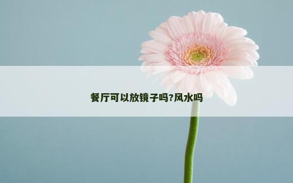 餐廳可以放鏡子嗎?風(fēng)水嗎
