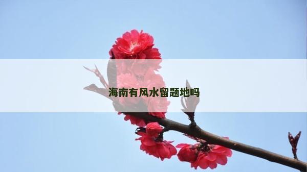 海南有風(fēng)水留題地嗎