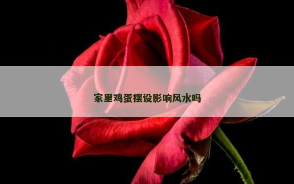 家里雞蛋擺設影響風水嗎