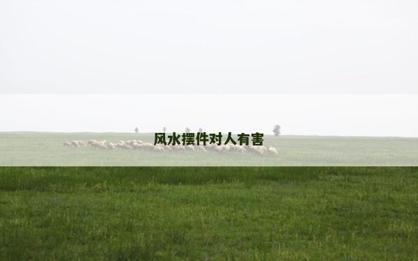 風(fēng)水?dāng)[件對人有害