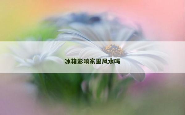 冰箱影響家里風(fēng)水嗎