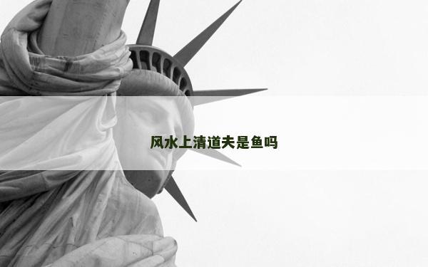 風水上清道夫是魚嗎