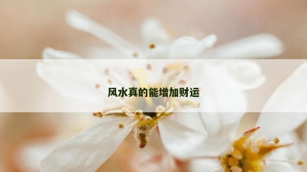風水真的能增加財運 風水真的能增加財運