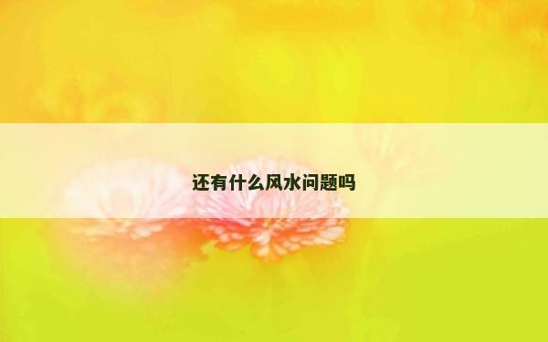 還有什么風(fēng)水問(wèn)題嗎