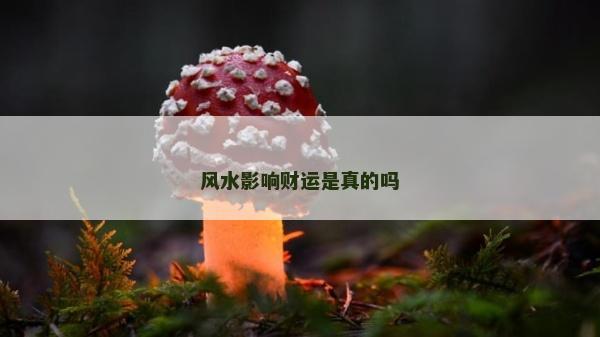 風水影響財運是真的嗎