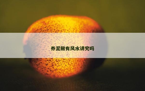 養泥鰍有風水講究嗎 養泥鰍有風水講究嗎