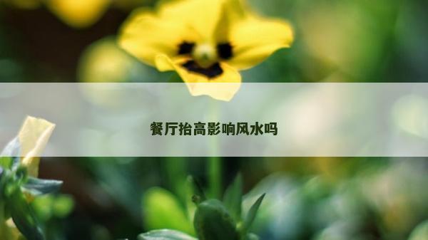 餐廳抬高影響風水嗎