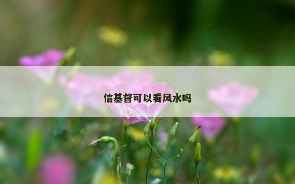信基督可以看風水嗎