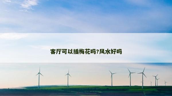 客廳可以插梅花嗎?風水好嗎