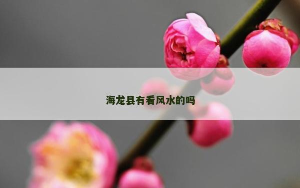 海龍縣有看風(fēng)水的嗎