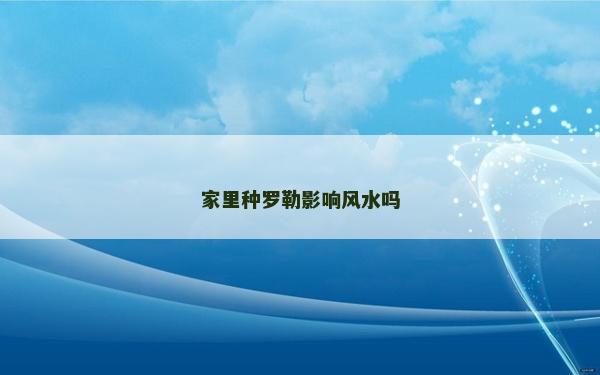 家里種羅勒影響風(fēng)水嗎