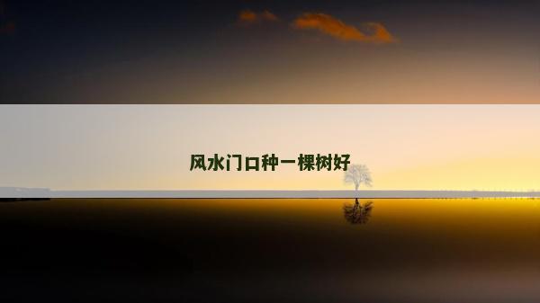 風(fēng)水門(mén)口種一棵樹(shù)好