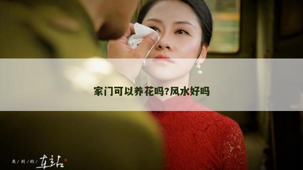 家門可以養花嗎?風水好嗎 家門可以養花嗎?風水好嗎