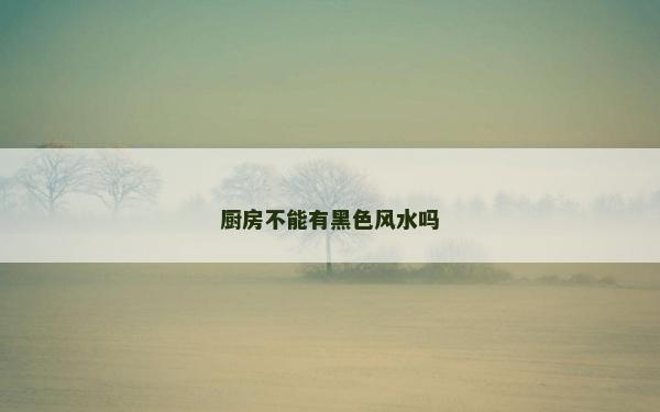 廚房不能有黑色風(fēng)水嗎