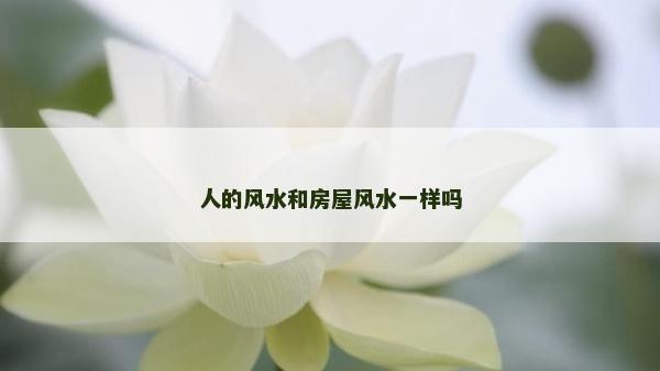 人的風(fēng)水和房屋風(fēng)水一樣嗎