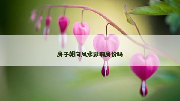 房子朝向風水影響房價嗎