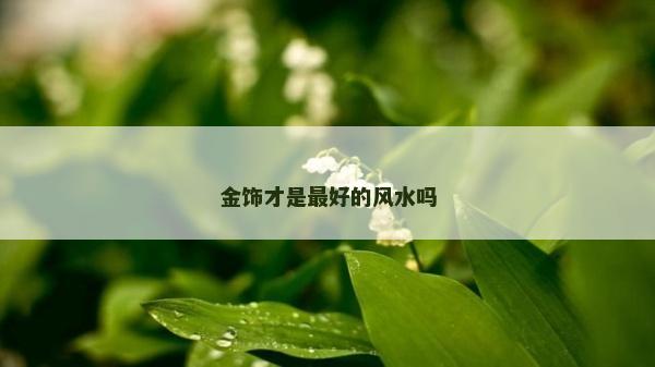 金飾才是最好的風(fēng)水嗎