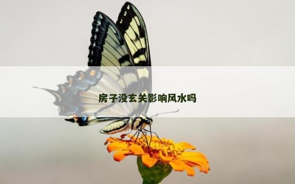房子沒玄關影響風水嗎