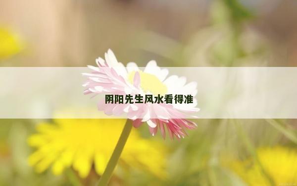 陰陽先生風水看得準 陰陽先生風水看得準