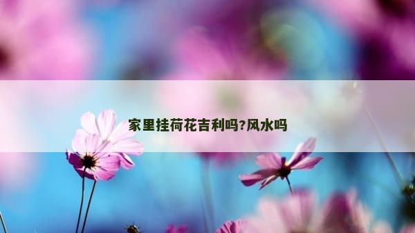家里掛荷花吉利嗎?風水嗎