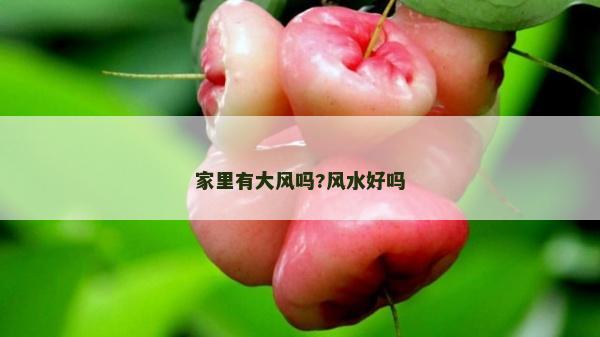 家里有大風嗎?風水好嗎