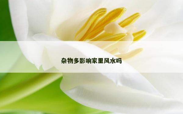 雜物多影響家里風(fēng)水嗎