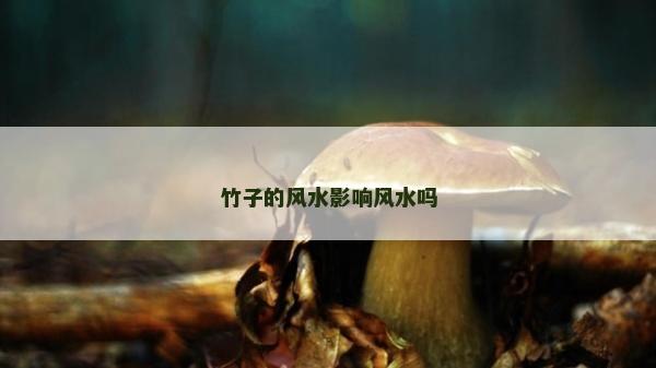 竹子的風水影響風水嗎