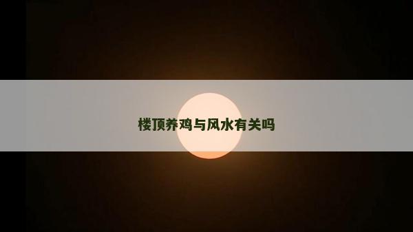 樓頂養雞與風水有關嗎 樓頂養雞與風水有關嗎
