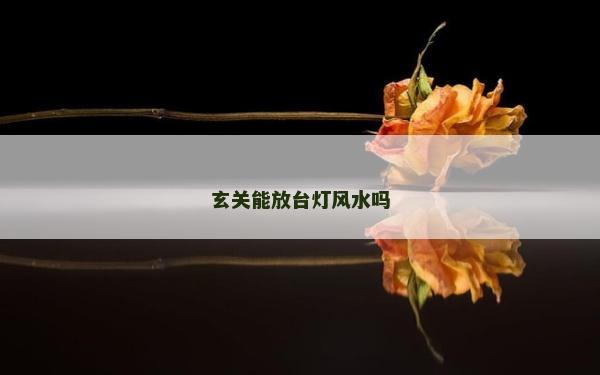 玄關能放臺燈風水嗎