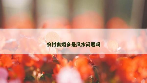 農(nóng)村離婚多是風水問題嗎