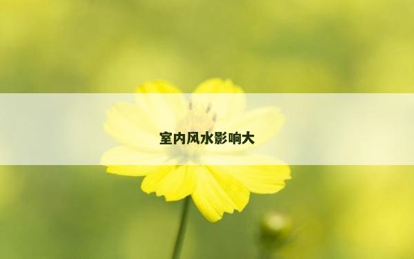 室內(nèi)風(fēng)水影響大