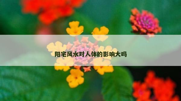 陽宅風水對人體的影響大嗎