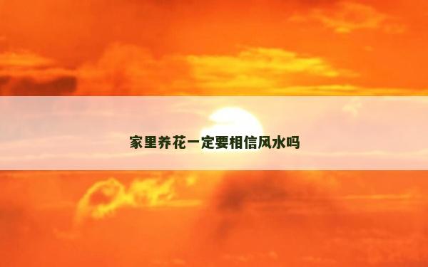 家里養(yǎng)花一定要相信風水嗎