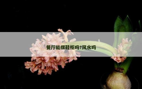 餐廳能擺鞋柜嗎?風水嗎 餐廳能擺鞋柜嗎?風水嗎