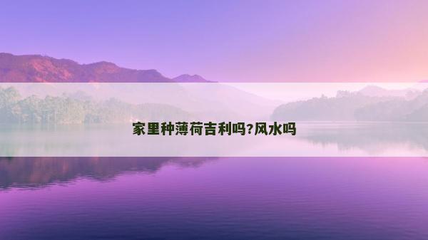 家里種薄荷吉利嗎?風(fēng)水嗎