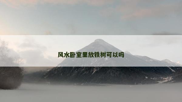 風水臥室里放鐵樹可以嗎