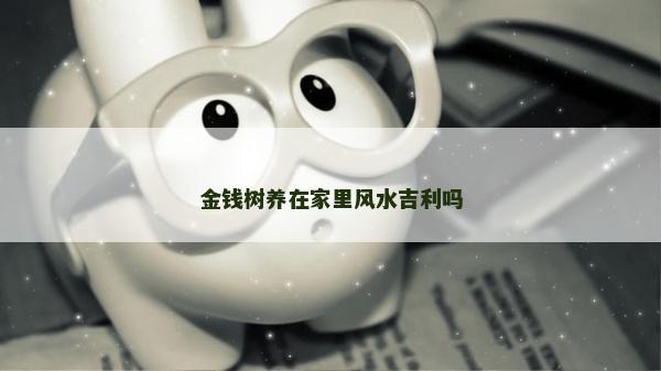 金錢樹養在家里風水吉利嗎